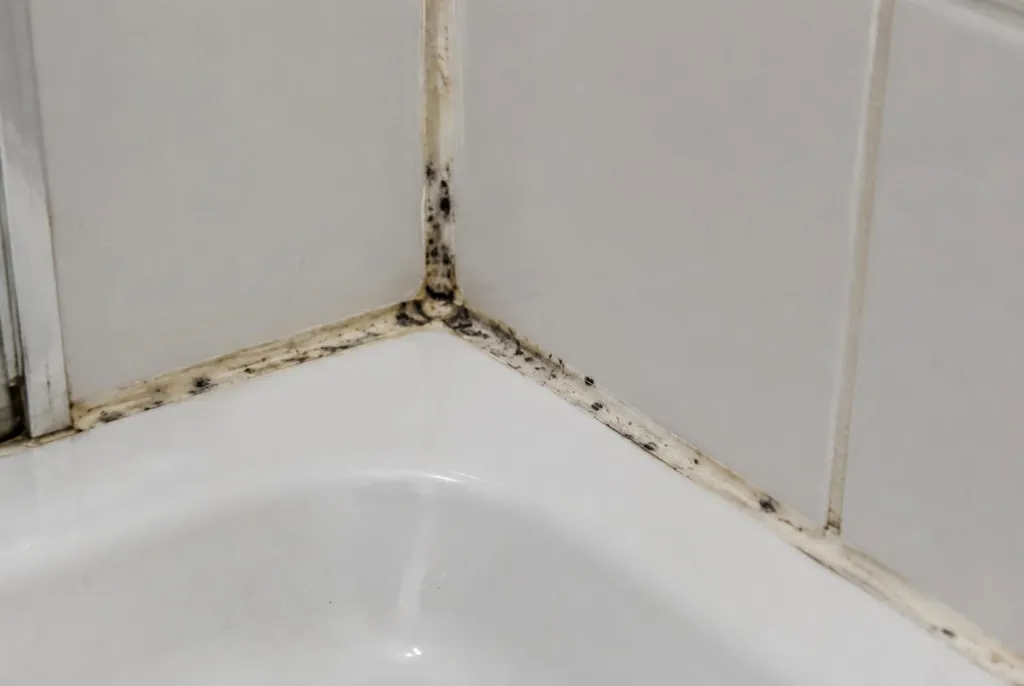 Kitbedrijf Capelle aan den IJssel – beschimmelde kitranden
